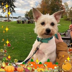 Meet your Posher, Winnie